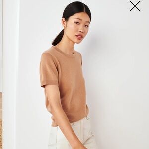 Quince Mongolian Cashmere T Shirt M